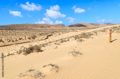 Wooden sign on sand dune, Sotavento beach, Fuerteventura island