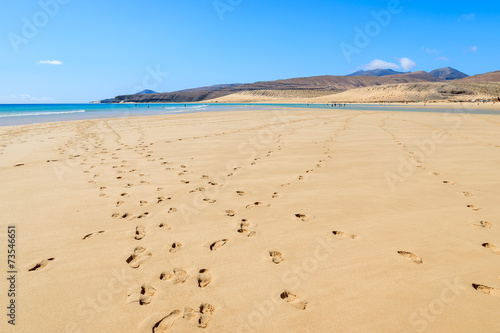 Beautiful golden sand Sotavento beach on Fuerteventura island