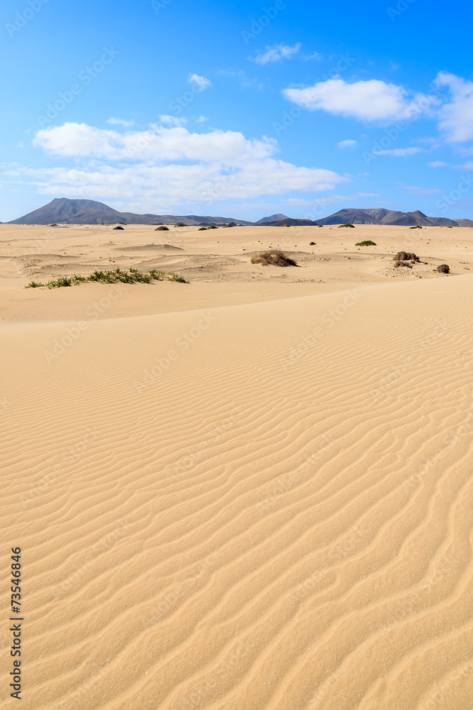 Sand dunes in Corralejo National Park, Fuerteventura island Sand dunes in Corralejo National Park, Fuerteventura island