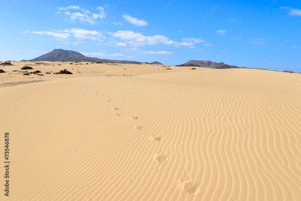 Footprints on sand dunes, Corralejo National Park, Fuerteventura