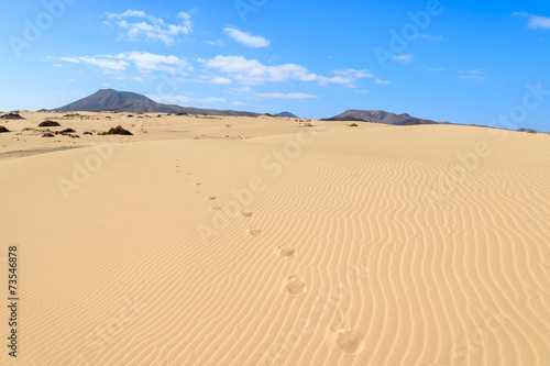 Footprints on sand dunes  Corralejo National Park  Fuerteventura