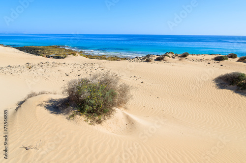 Sand dunes in Corralejo National Park, Fuerteventura island