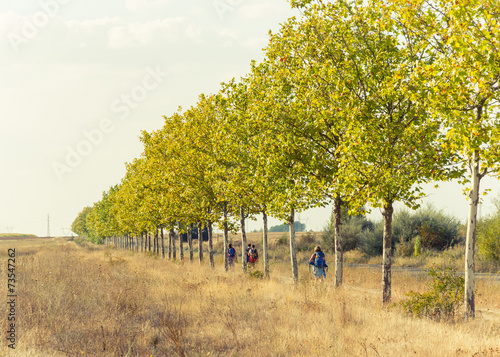 Peregrinos en  el Camino de Santiago photo