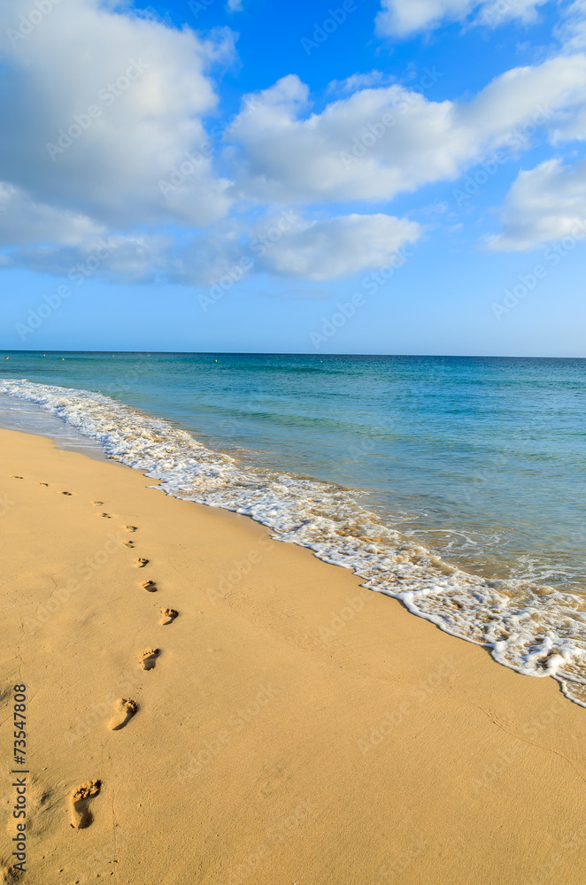 Footprints in sand on Jandia beach, Fuerteventura island