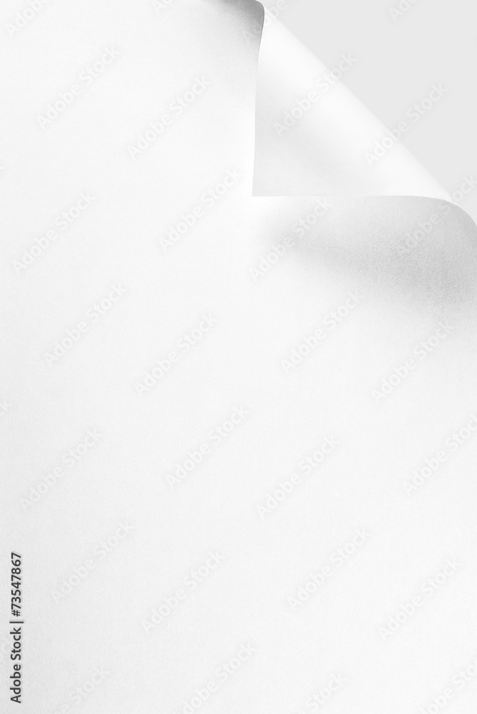 Blank sheet of paper or letterhead with curled corner