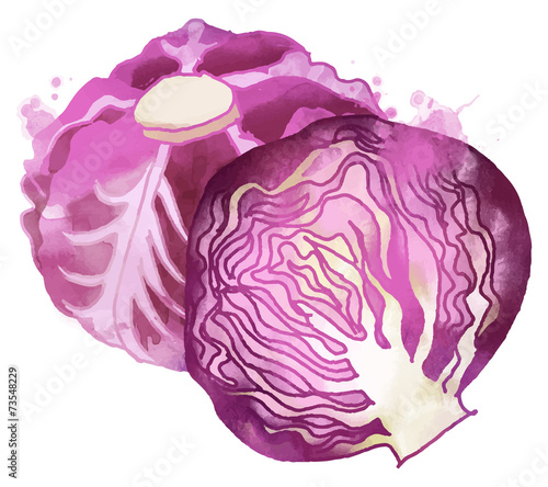 red cabbage