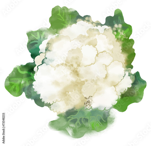 cauliflower