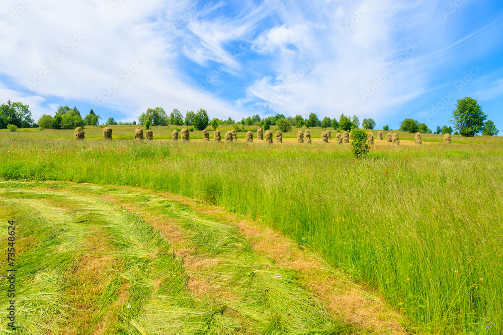 Hay on green meadow in summer landscape, Tatra Mountains, Poland
