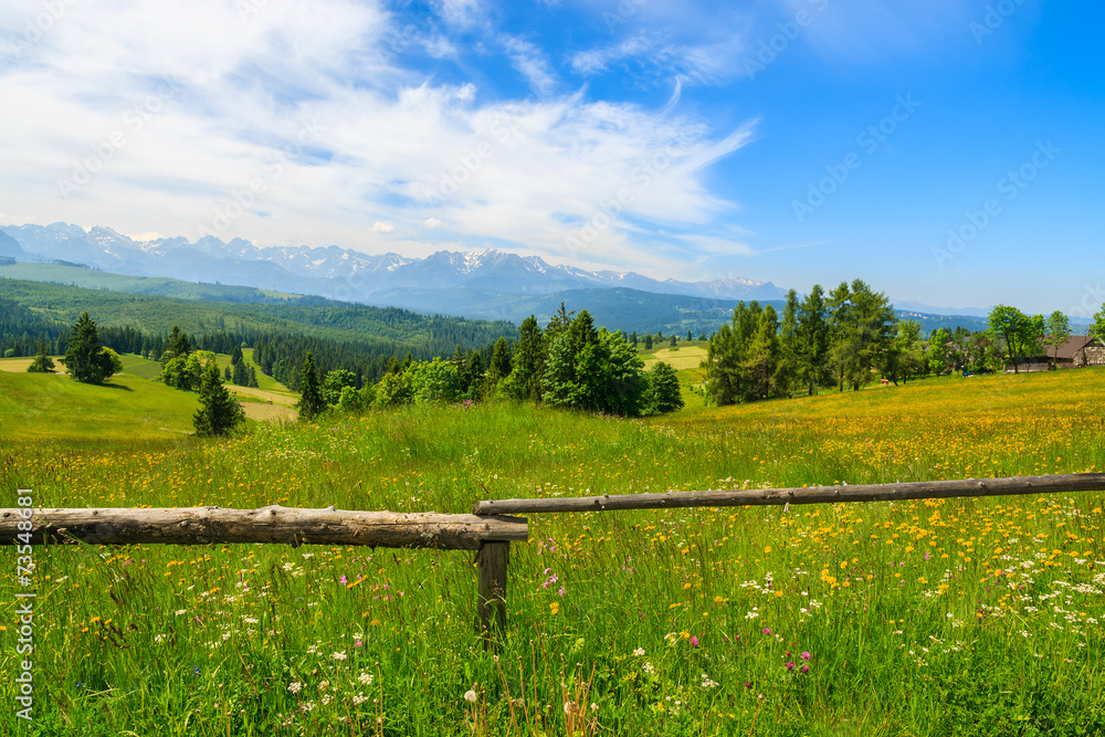 Wooden fence on green meadow, Lapszanka, Tatry Mountains, Poland