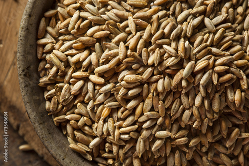 Canvas Print Organic Dry Raw Rye Grain