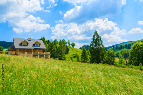 Wooden mountain house on green field in summer, Pieniny, Poland