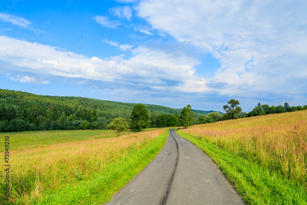 Rural road in green fields in Bieszczady Mountains, Poland