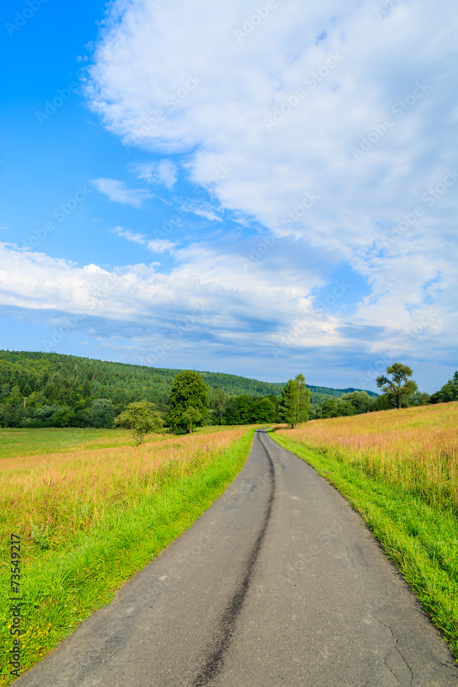 Rural road in green fields in Bieszczady Mountains, Poland Rural road in green fields in Bieszczady Mountains, Poland