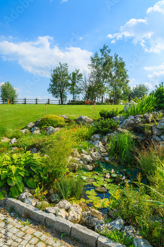 Plants around a water pond in garden on sunny summer day, Poland