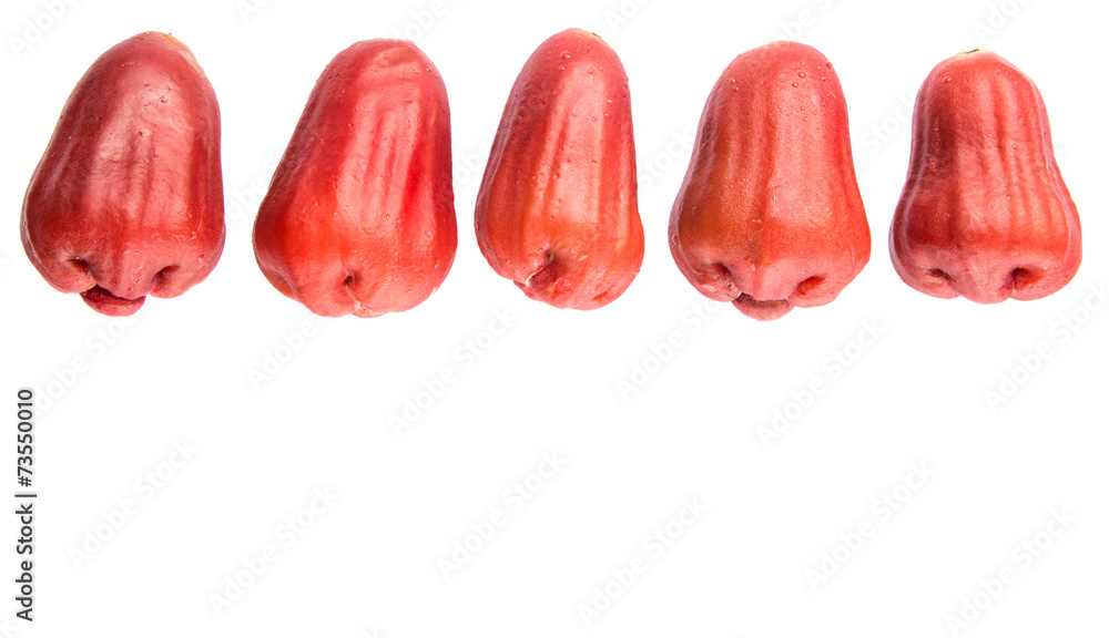 Fototapeta premium The exotic rose apple fruit over white background