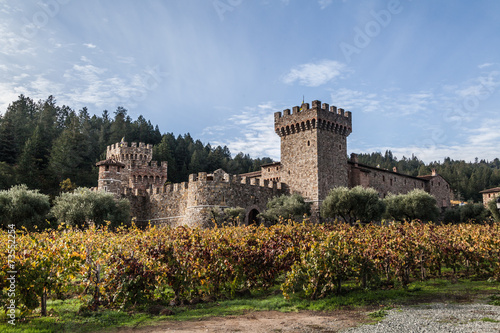 Castle winery