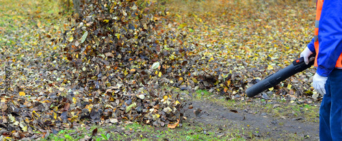 Cleaning autumn leaves4. The worker in a uniform clears a path u
