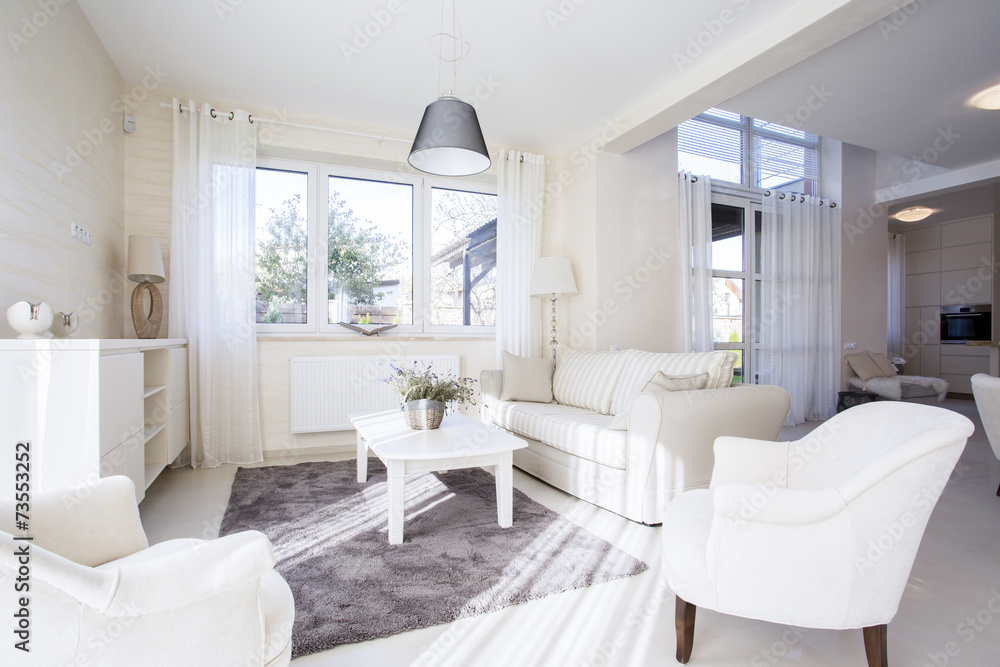 Luxury and spacious living room Luxury and spacious living room