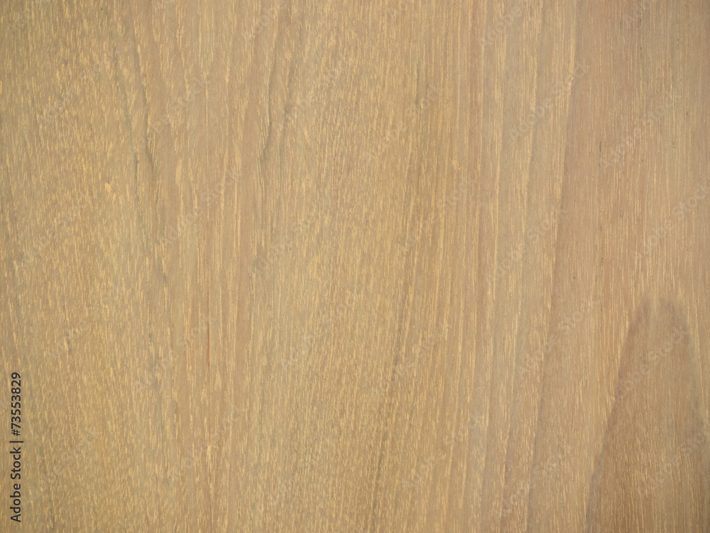 Texture of closeup wood background. Texture of closeup wood background.