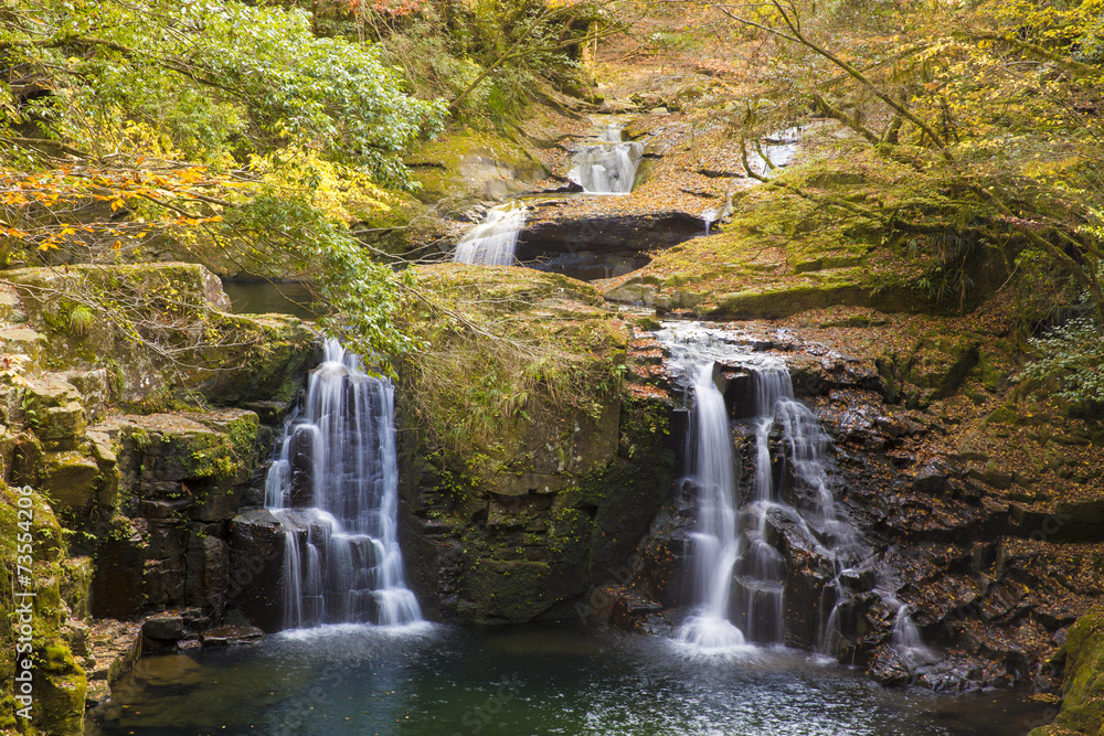 Fototapeta premium 秋の赤目荷担滝