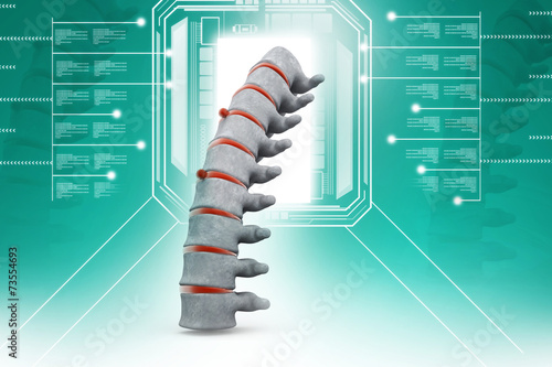 3d part of spine isolated white background