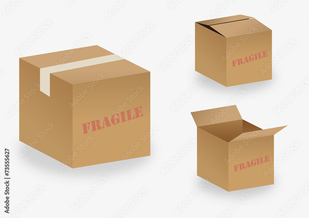 Fototapeta premium vector cardboard box