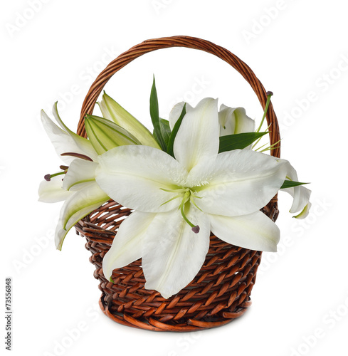 White lily in a basket