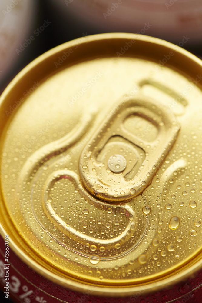 cans cans