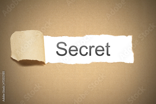 brown package paper carton torn to reveal white space secret