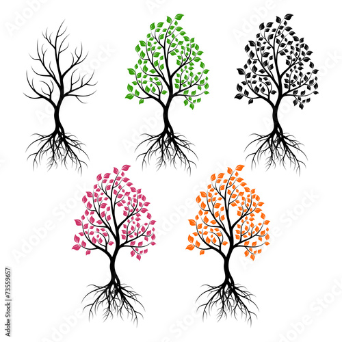 Set of trees