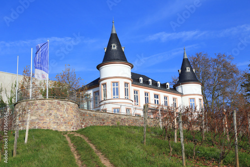Schloss Hansenberg im Rheingau (Noveber 2014) photo