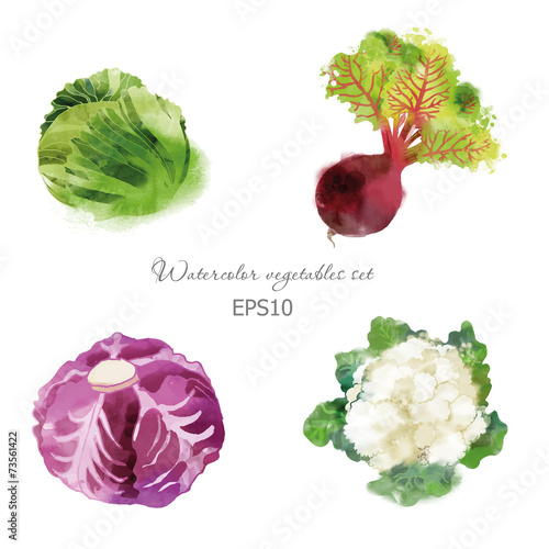 Set of abbage beet red cabbage cauliflower