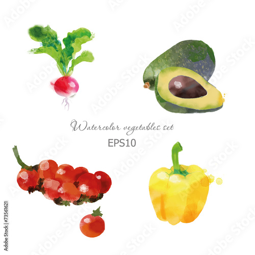 Set of radish avocado cherry Tomatoes paprika