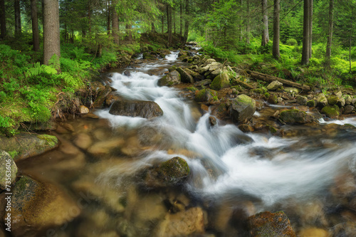 Fototapeta Naklejka Na Ścianę i Meble -  River in summer forest. Beautiful natural landscape