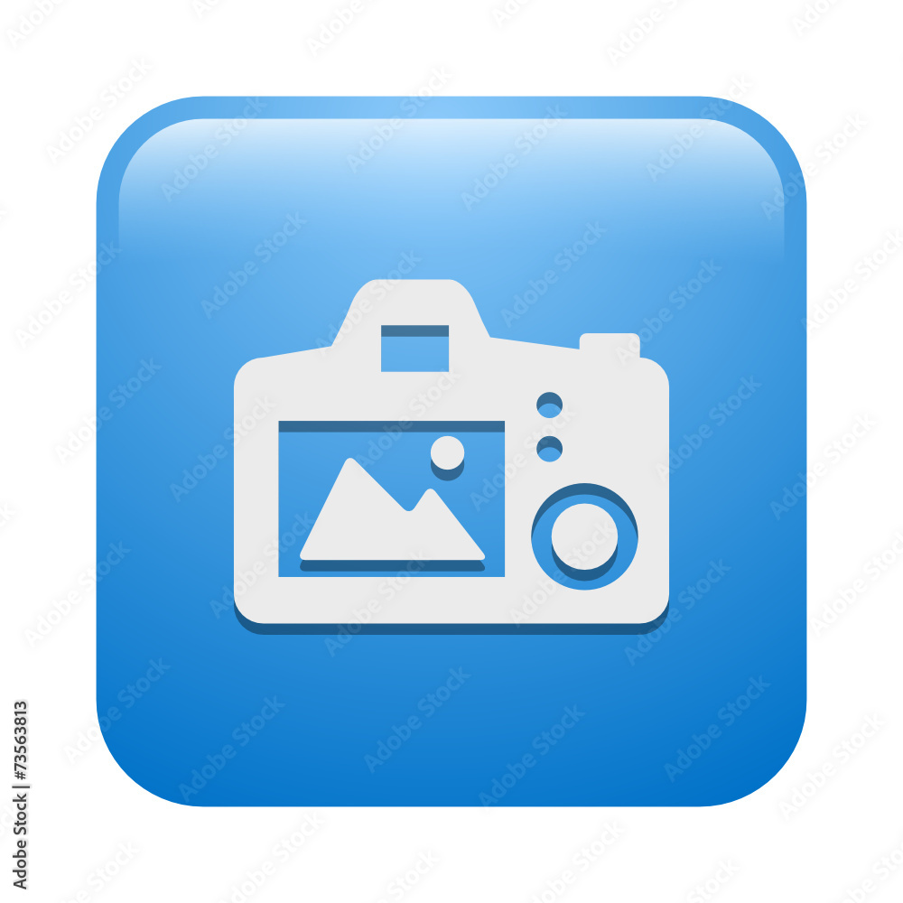 Vector Icon Vector Icon