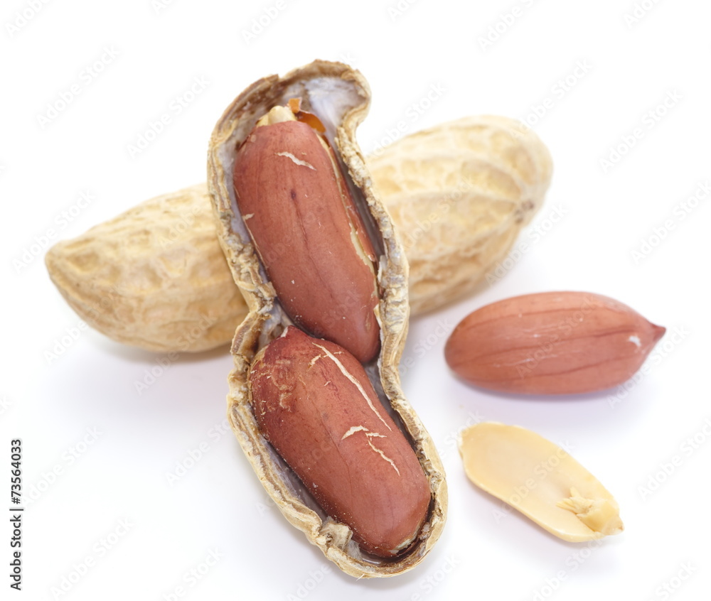 Close - up Raw dried peanut on white background Close - up Raw dried peanut on white background