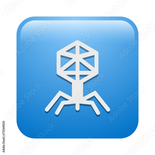 Vector Icon