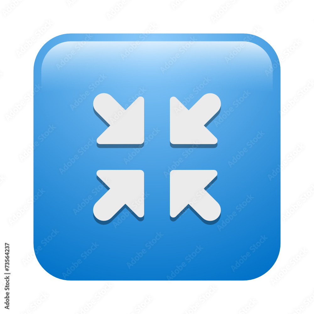 Vector Icon Vector Icon