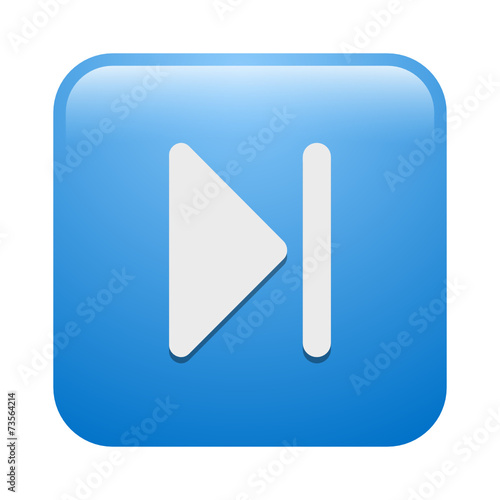 Vector Icon