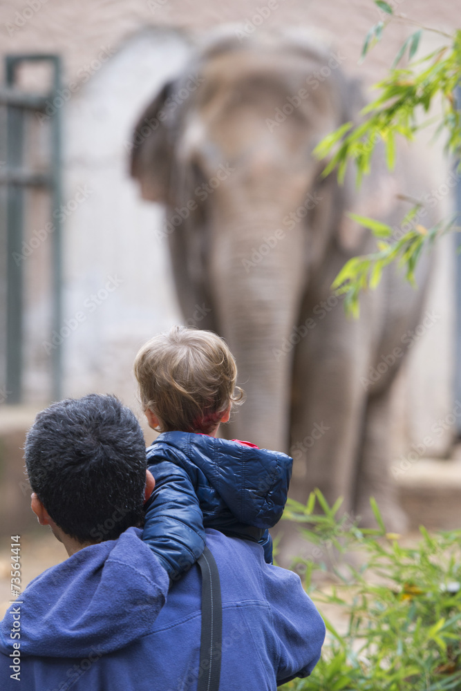Obraz premium children at the zoo