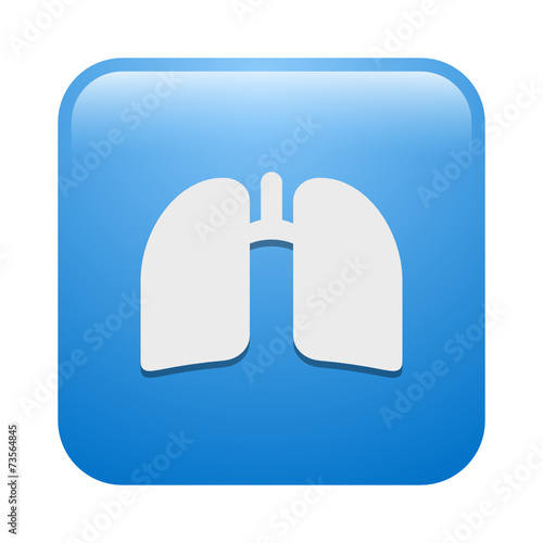 Vector Icon