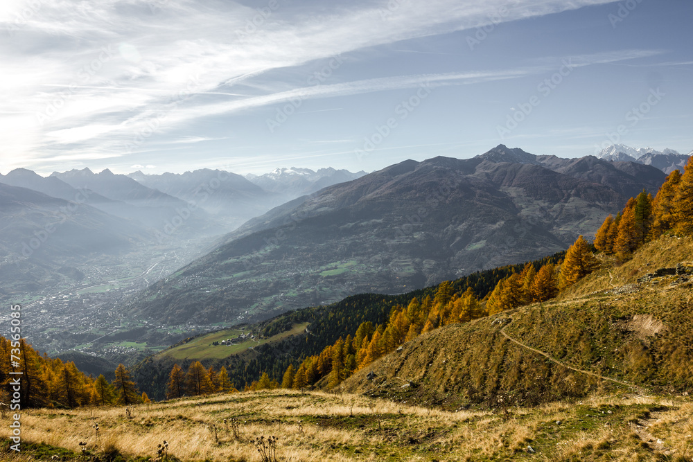 Paesaggio autunnale in montagna con alberi