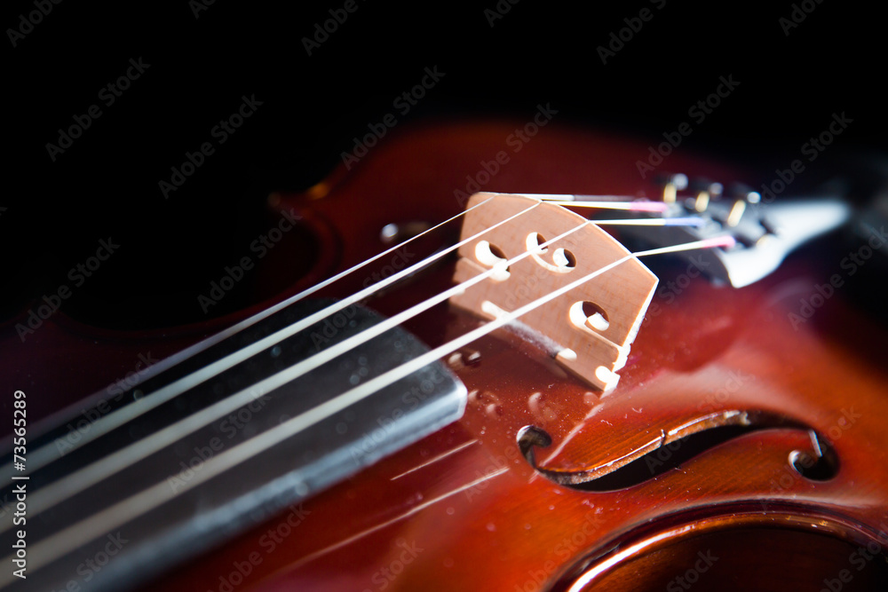 Fototapeta premium Violin on a black background