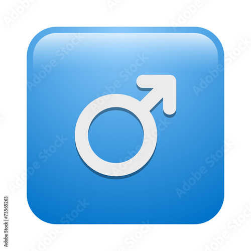Vector Icon