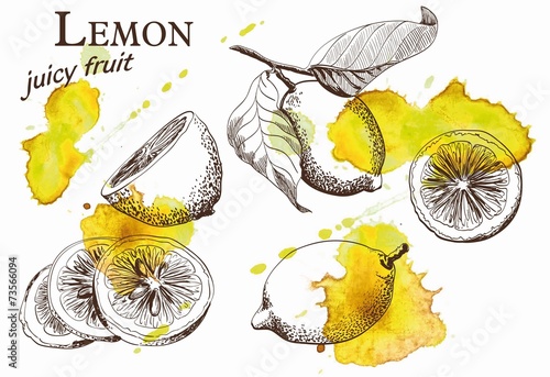 beautiful yellow lemon