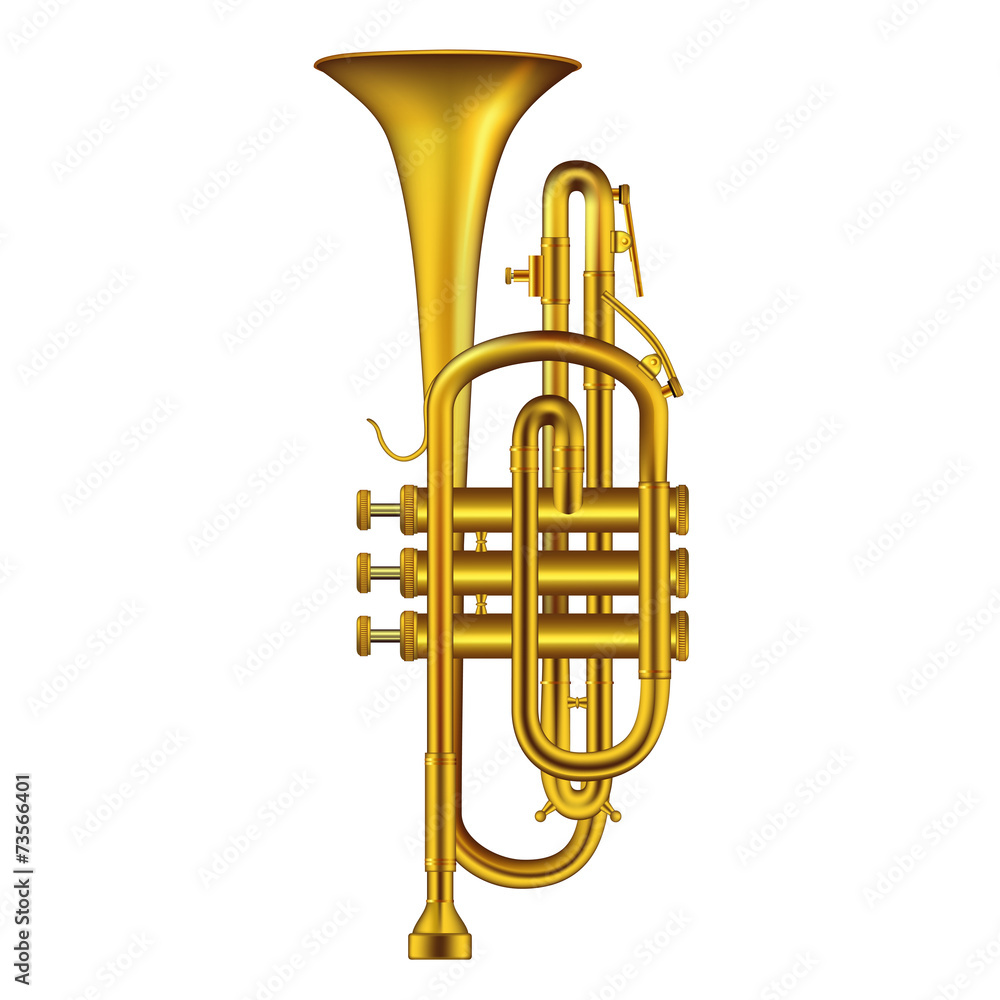 Fototapeta premium Trumpet