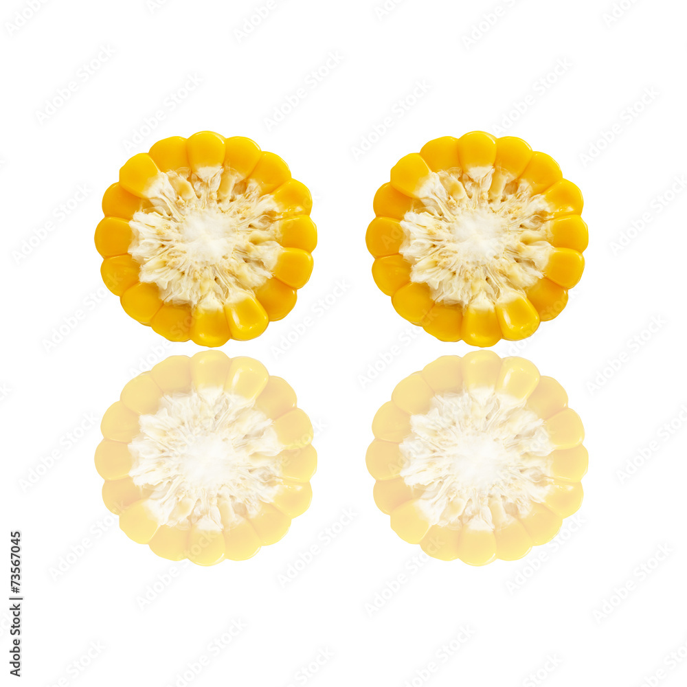 Corn isolated on white background Corn isolated on white background