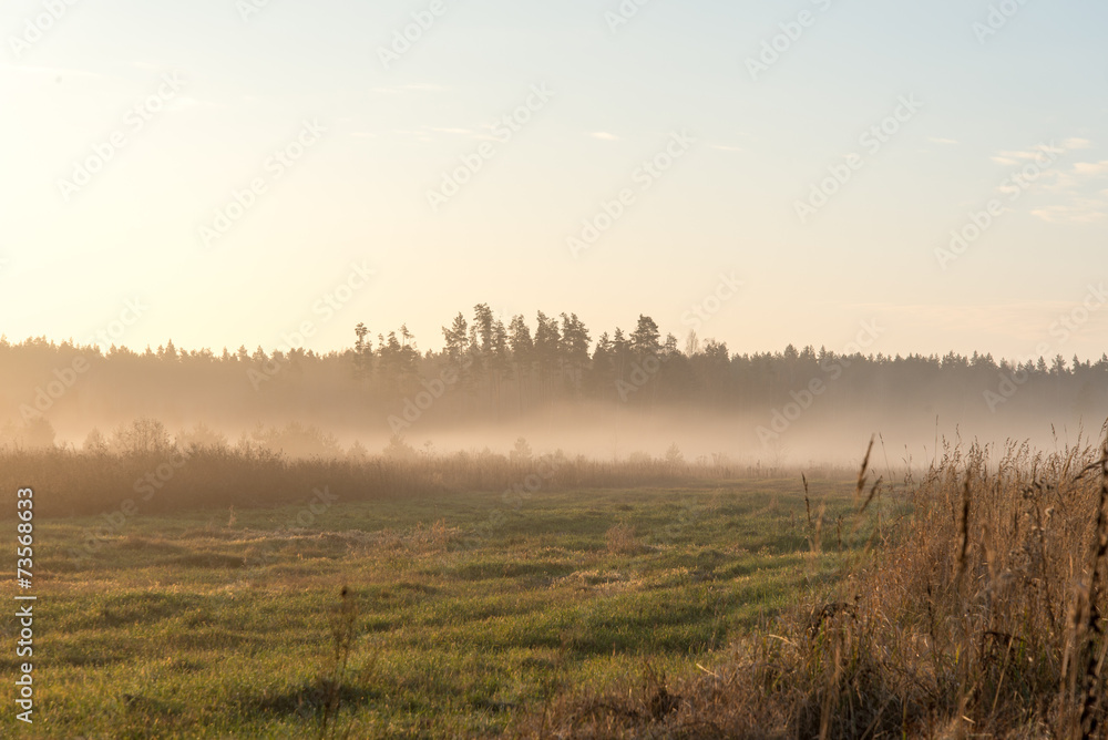 beautiful misty meadow in the morning frost