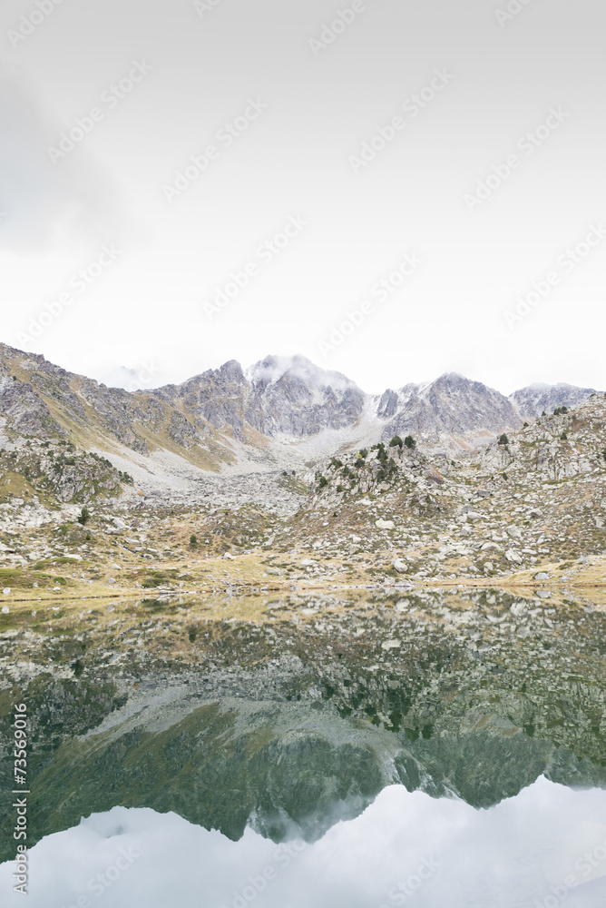 Fototapeta premium Lake of bees