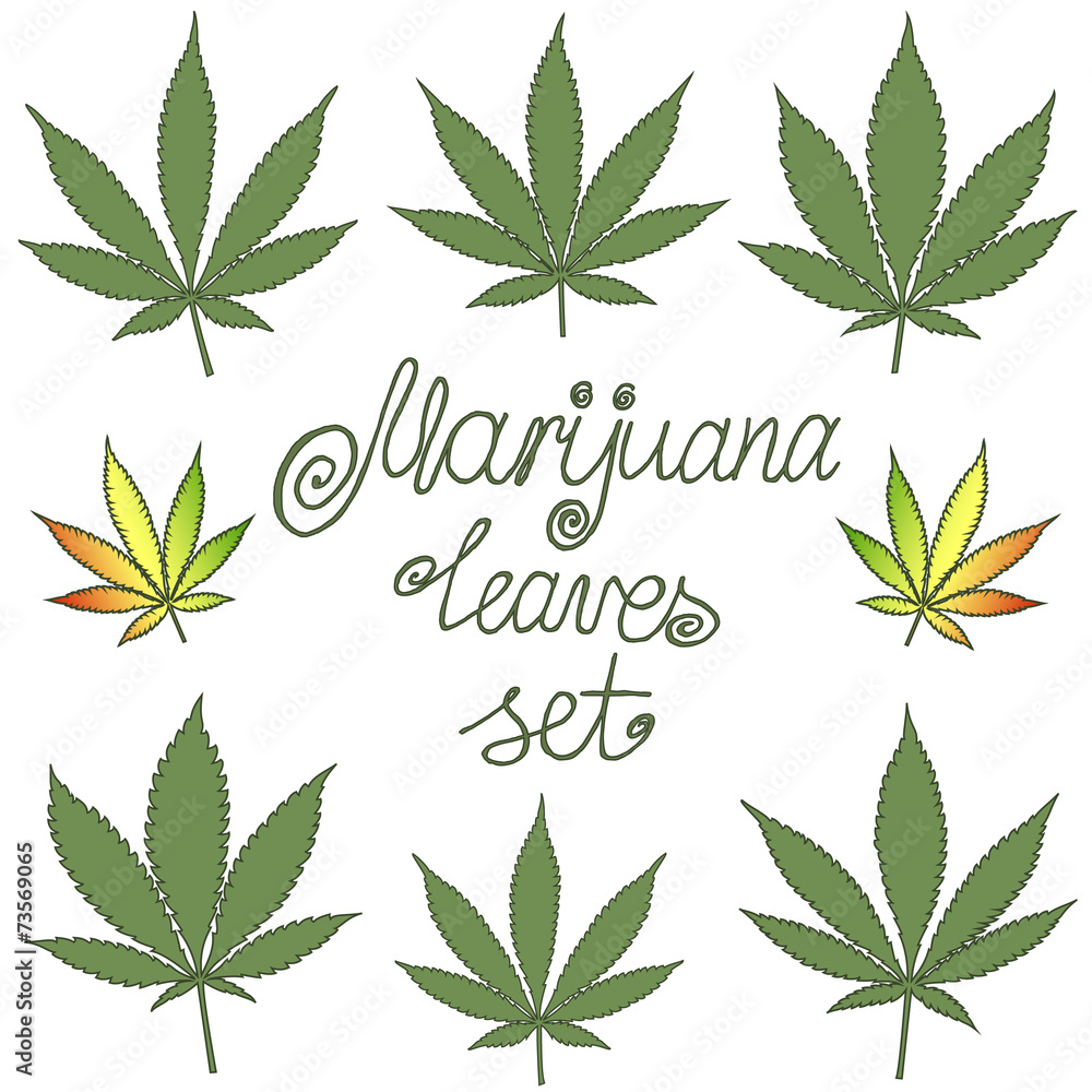 Set of natural marijuana leaves